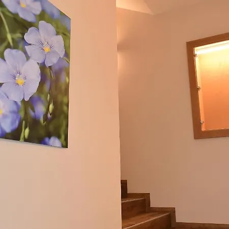 Lebzelter Pensjonat *